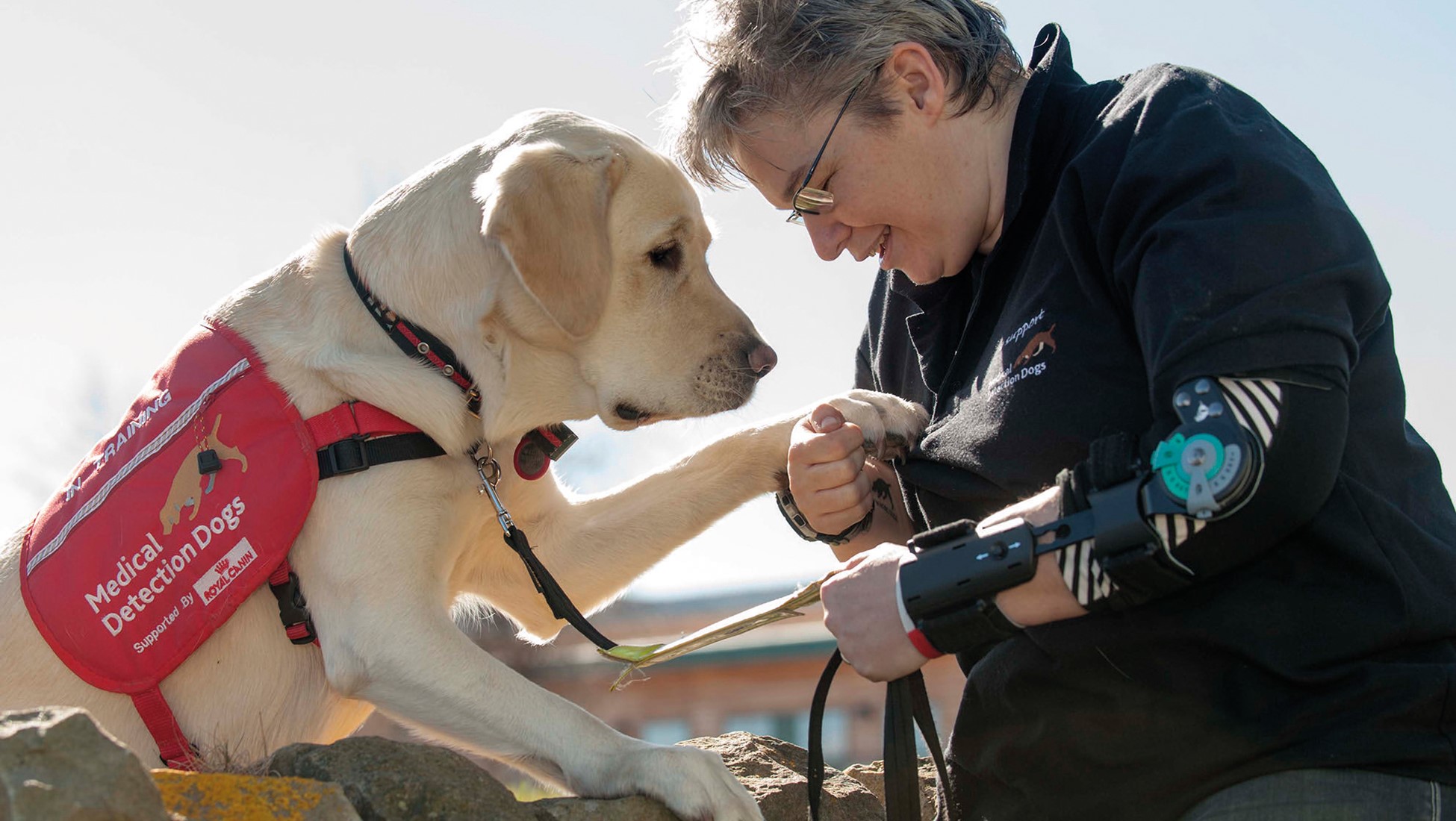 Medical Detection Dogs